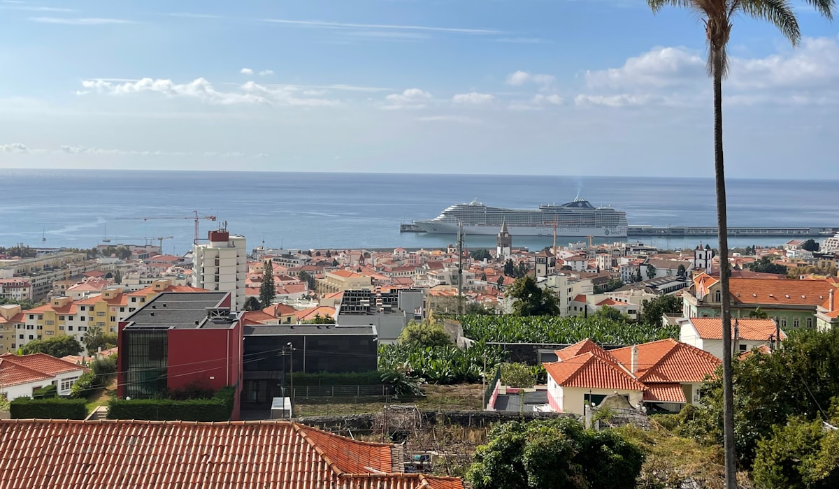 A cruise ship docked at Funchal harbour, seen over the rooftops of the city