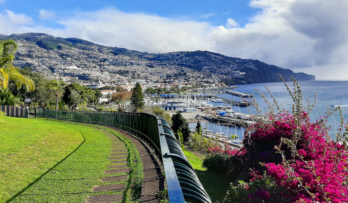Funchal seen from above, the Old Town and marina along the seafront below the hillside